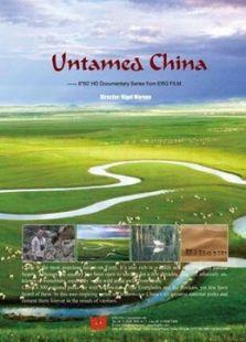 未发现的中国剧情介绍(1-6全集)