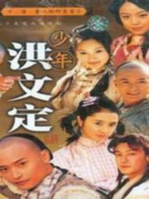 少年英雄之洪文定